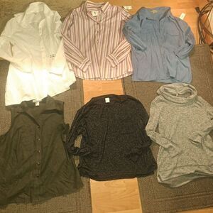 LOT #106 includes 6 blouses - Medium to XLarge Some New